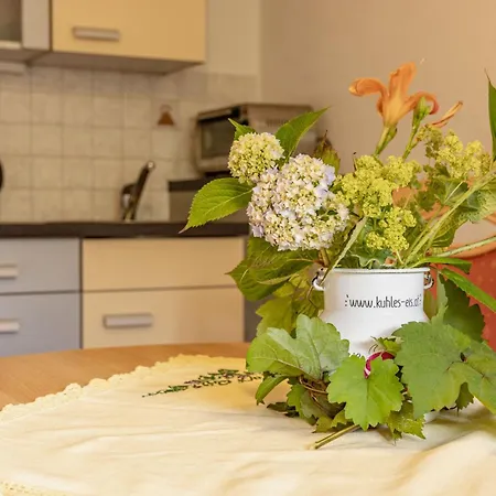 Lissis Bauernhof Appartments Gundersheim