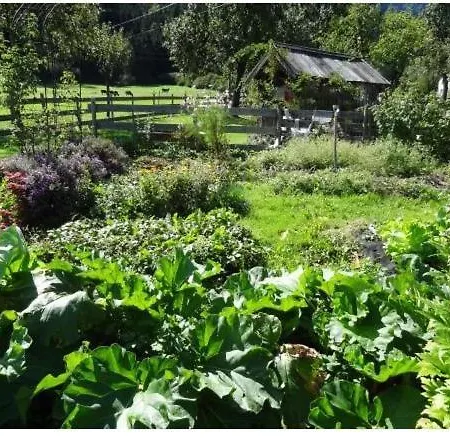 Lissis Bauernhof Appartments * グンダースハイム