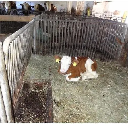 ファームステイ Lissis Bauernhof Appartments