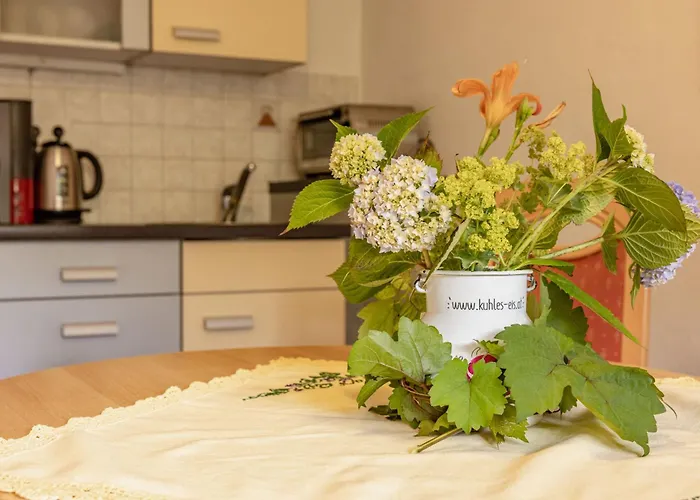 Lissis Bauernhof Appartments Gundersheim