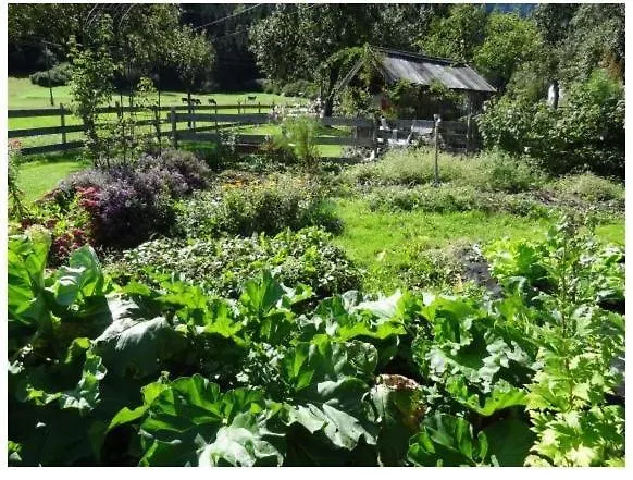 Lissis Bauernhof Appartments * Gundersheim